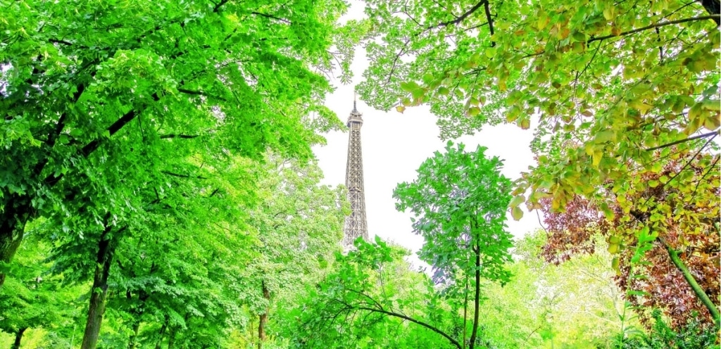 språkresa accord paris