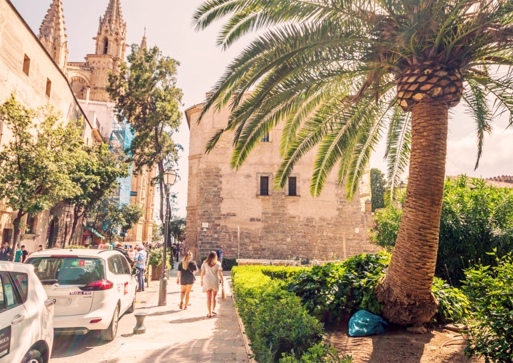 språkresa mallorca palma