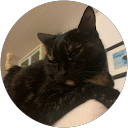 Morgan D. profile picture